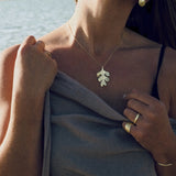 Barnacles Studs