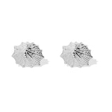 Barnacles Studs