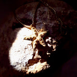 Das goldenen Estrella Necklace, Schmuck aus den Tiefen des Meeres. Seesterne zeigen die Magie des Meeres an, wie kaum ein anderer Glücksbringer.