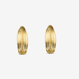 Vetulonia Studs