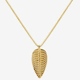 Ediacara Necklace