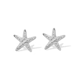 Asteria Studs