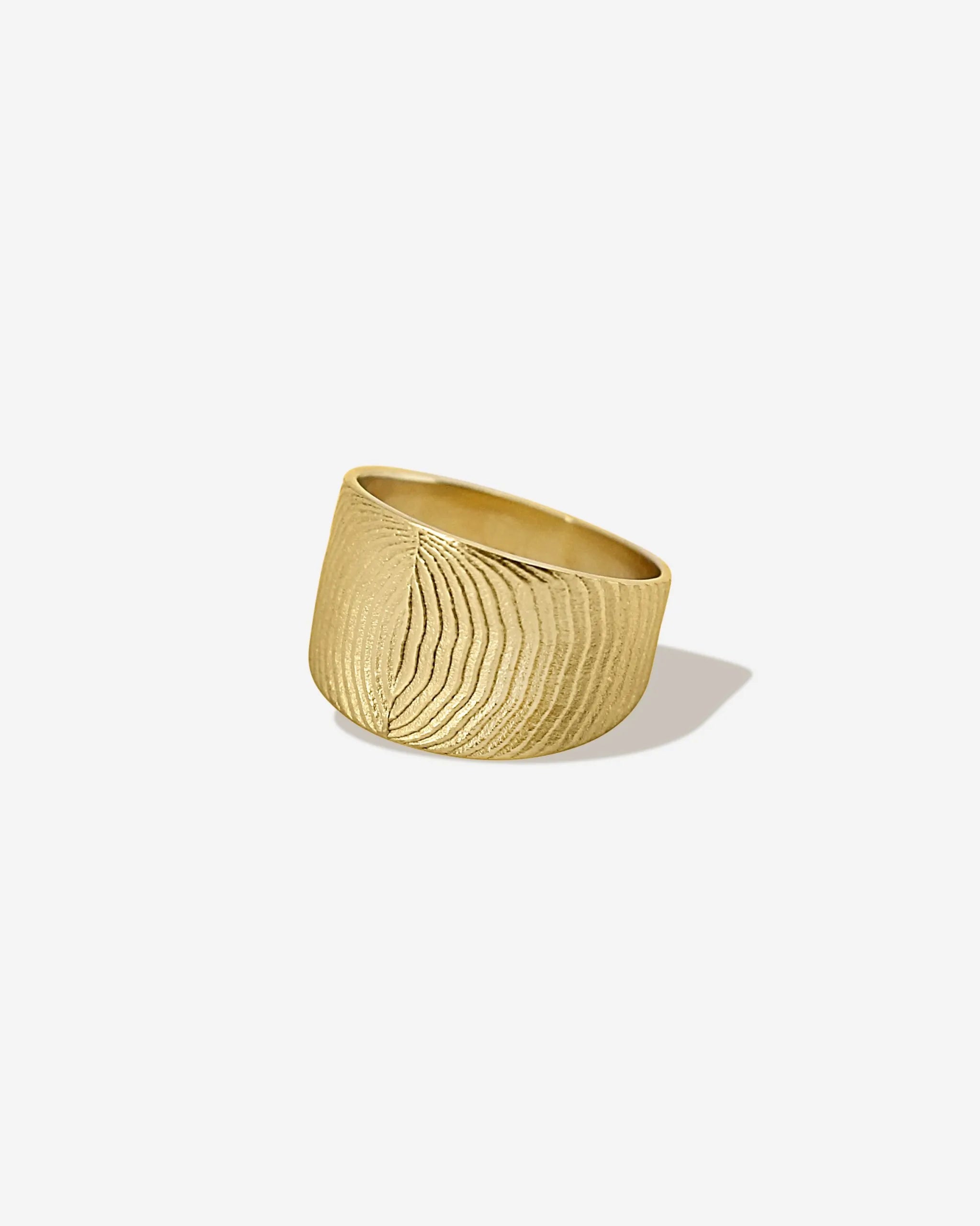 Eleganter Schmuck aus der Meerestiefe. Die maritime Struktur der Sepien vereint sich im goldenen Abraccio Ring wie eine Umarmung